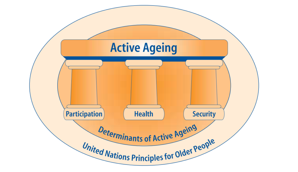 A diagram of a ageing

AI-generated content may be incorrect.